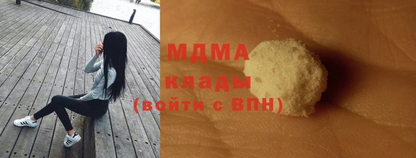 индика Алзамай