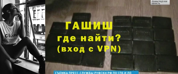 индика Алзамай