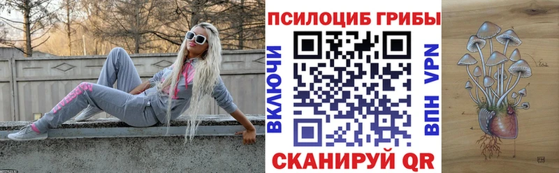 OMG вход  Ветлуга  даркнет наркотические препараты  Псилоцибиновые грибы Magic Shrooms 